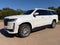 2023 Cadillac Escalade ESV 4WD Premium Luxury