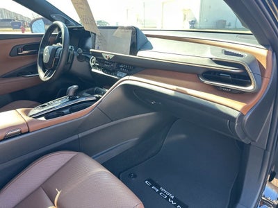 2025 Toyota Crown Signia XLE