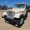 1985 Jeep CJ 4WD Base