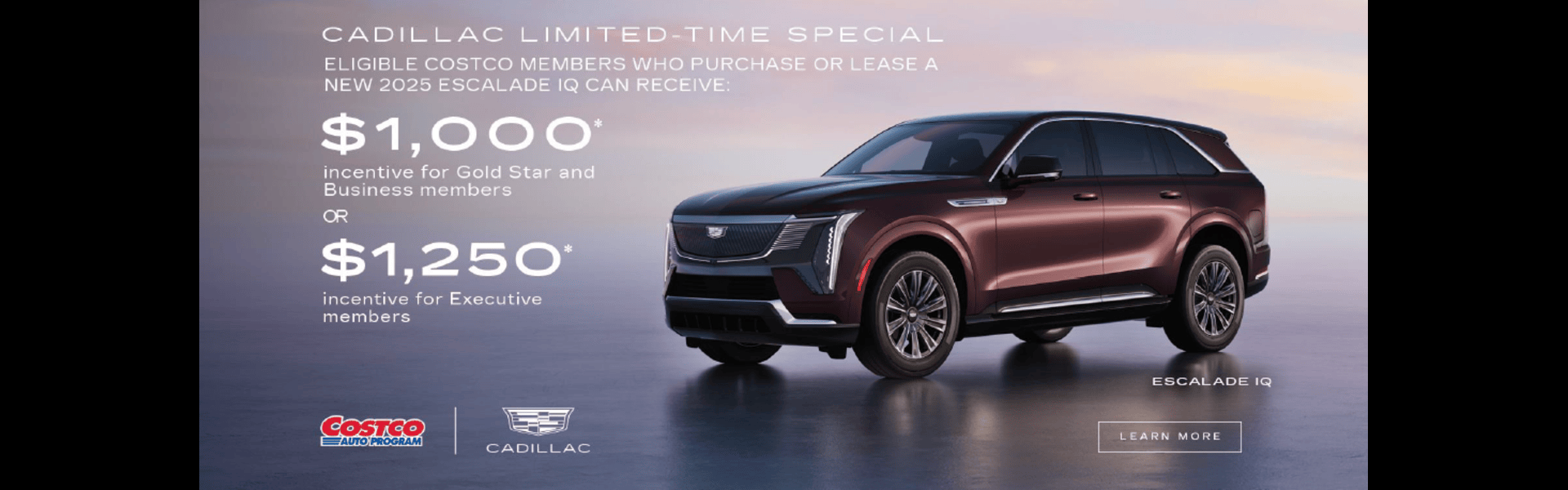 Limited Time Costco Special